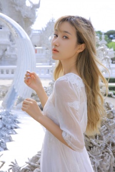铁玫瑰